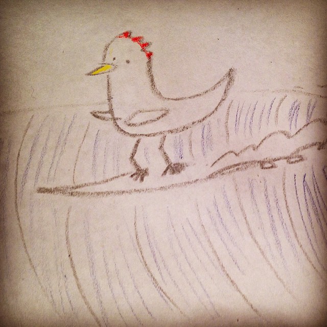 drawing of chicken surfing